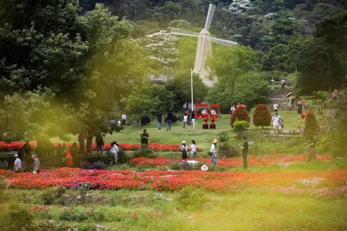 关注广州首届直播节增城分会场！区长直播带货！​超200家企业让利惠民