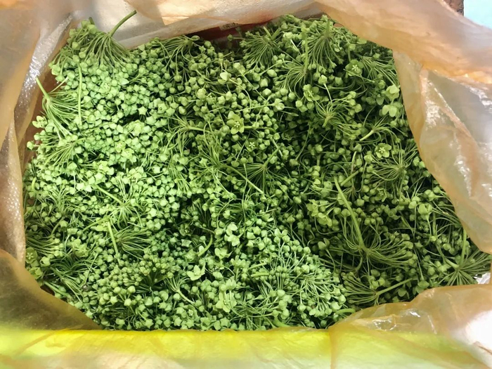 云南人"带毒"的美食,不只有菌儿