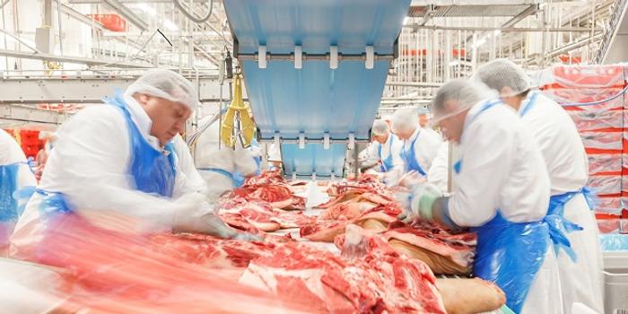 美欧巴西相继中招肉类加工厂为何总成疫情暴发温床 手机新浪网