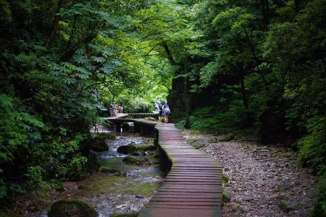 这条路线，是四川和贵州本地人才知道的秘密