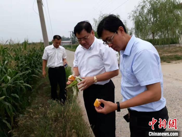 民盟中央扶贫干部深入农田实地考察。受访者供图