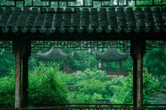 ▲ 江南的雨，绵绵而潇潇，园林灵秀之气更浓。摄影/墙里的花园，图/图虫·创意