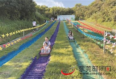 ▲和爸爸妈妈一起玩七彩滑草超有趣
