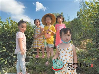 ▲小朋友们在农场里玩得很惬意 图片均由记者 赵浛锐 摄