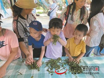 ▲小朋友学炒茶