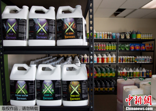 资料图：美国华盛顿，大麻超市内景。