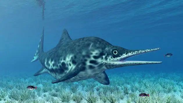 神奇化石：三叠纪时期怀胎鱼龙，死亡时体内有3只幼崽