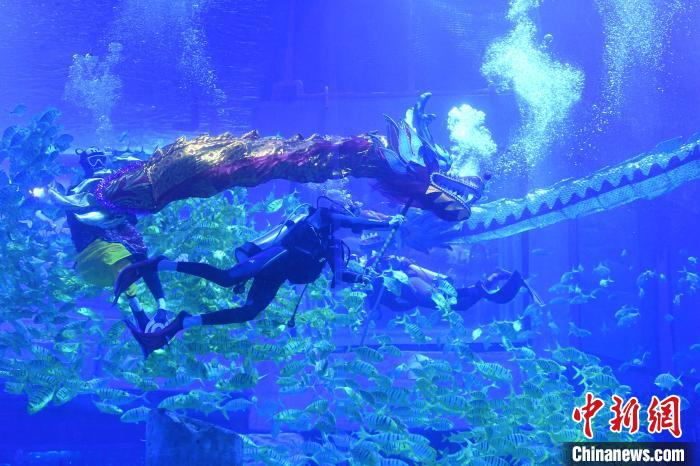 两条“龙”与黄金鯵把海底世界搅动的“天翻地覆”。　姬东 摄
