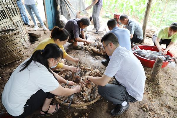 渝北区林业局积极开展消费扶贫 帮扶群众增收