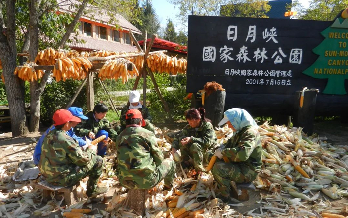 ▲日月峡国家森林公园的义工们正在劳作。受访者供图