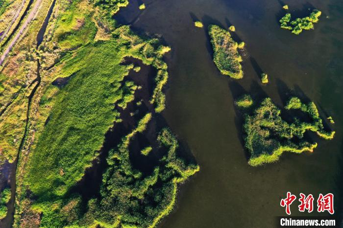 湿地美景在空中俯瞰如大地拼图。　郑耀德 摄