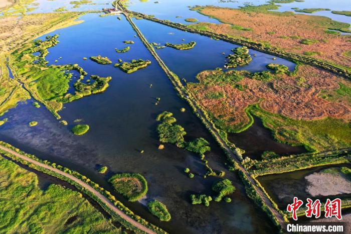 高台县黑河湿地国家级自然保护区总面积2.95万公顷，占张掖市国家级自然保护区总面积的71.57%，保护区内水域、沼泽、滩涂星罗棋布，湿地类型多样，资源丰富。　郑耀德 摄