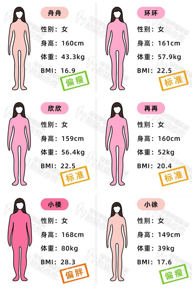 体脂称真的准吗？实测17款热门体脂称，得出了扎心的结论