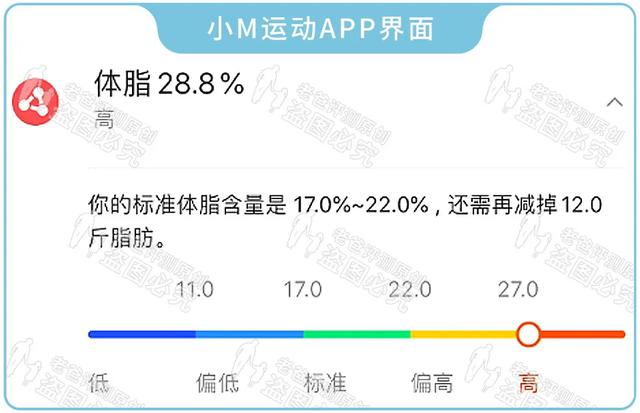 体脂称真的准吗？实测17款热门体脂称，得出了扎心的结论