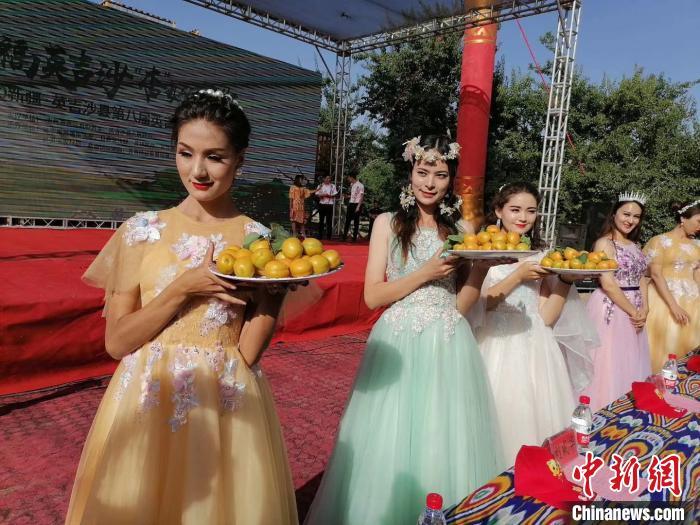 “中国第一大杏园”开启采摘季 杏比鸡蛋大