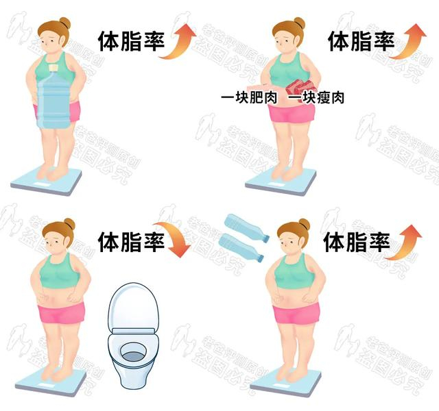 体脂称真的准吗？实测17款热门体脂称，得出了扎心的结论