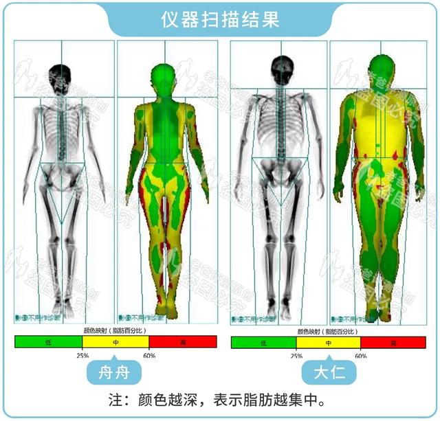 体脂称真的准吗？实测17款热门体脂称，得出了扎心的结论
