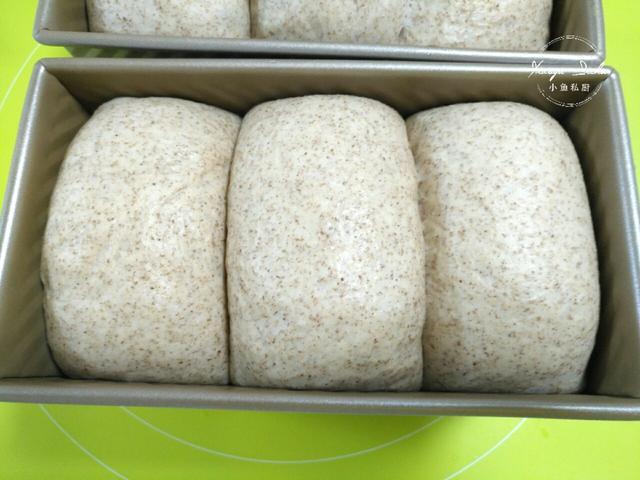 天热，用波兰种做全麦面包，出膜快，超柔软，放3天都不硬
