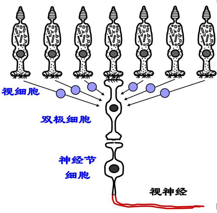 武侠高手的“残影”到底是什么？