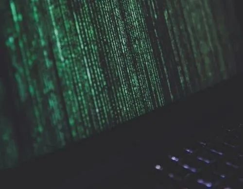 ▲图片来源：pexels