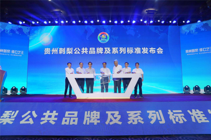 发布会现场。新华网 卢志佳 摄