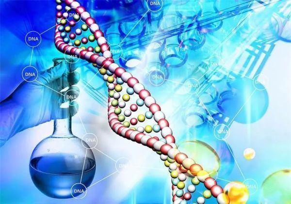 澳大利亚“基因侦探”利用基因组指纹技术追踪新冠起源
