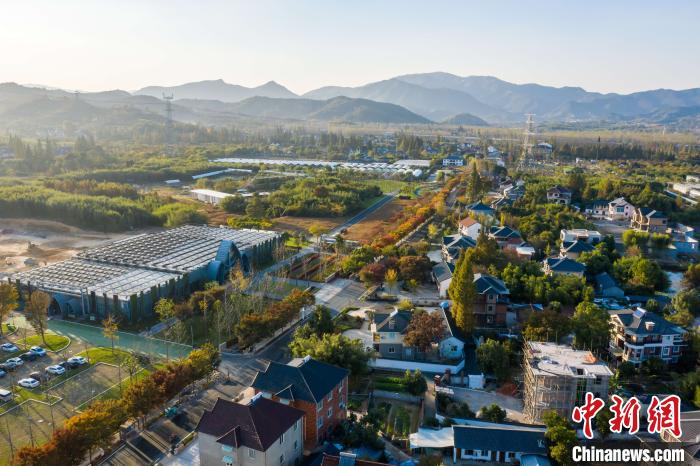 五四村美景 德清供图