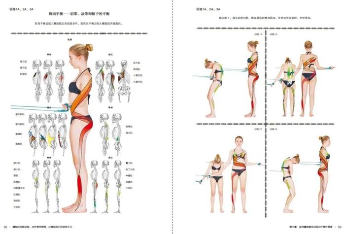 好书推荐 | 令人尖叫的技术---螺旋肌肉链训练·第3册震撼上市---治疗脊柱侧弯、过度前前后凸和姿势不正