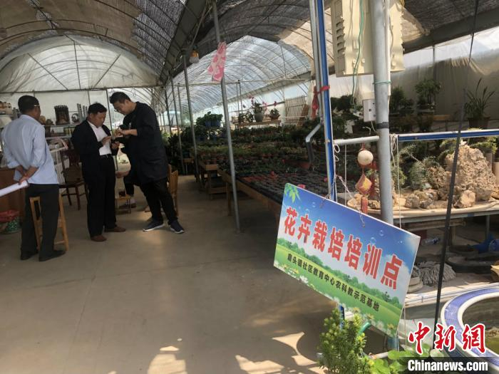 新港村花卉市场内的花卉栽培培训点。　于从文 摄