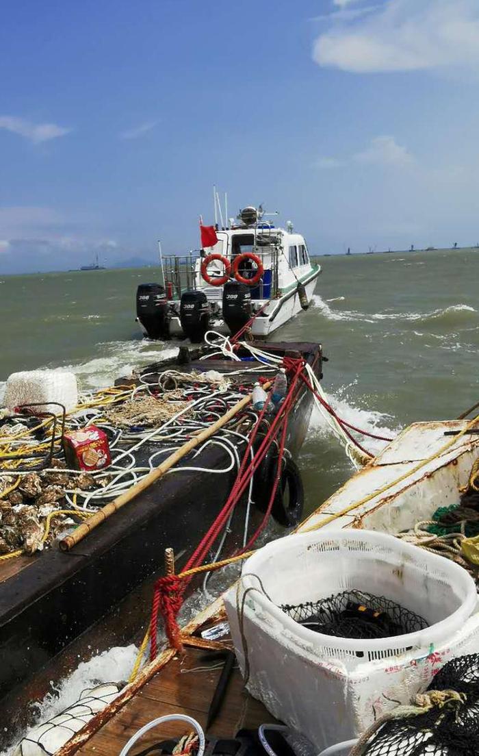 南海休渔期严禁出海捕捞，广州南沙将1000多斤生蚝放生大海
