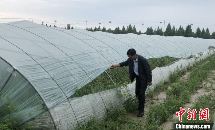 兰址村村民梅德钟在查看西瓜长势。　于从文 摄