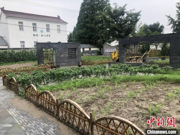 兰址村村民屋的小游园。　于从文 摄