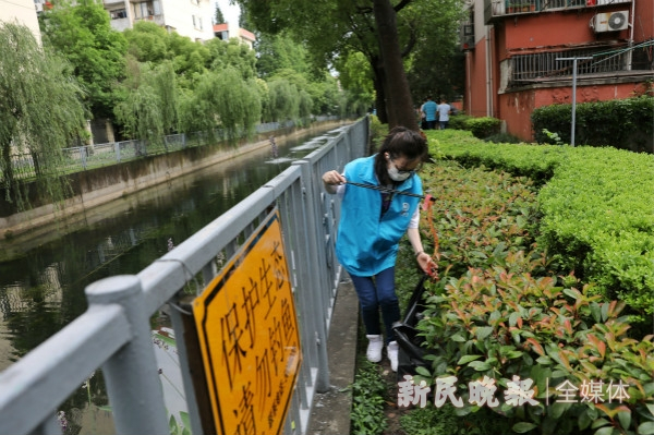 图说：朱长中在捡拾垃圾。周馨 摄