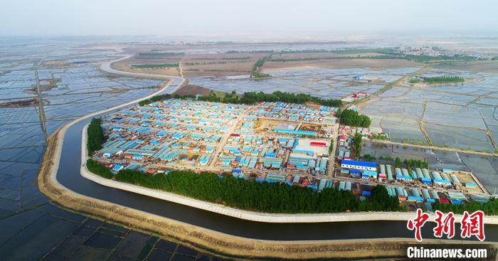 水田环绕的镇赉县嘎什根乡立新村。　潘晟昱 摄