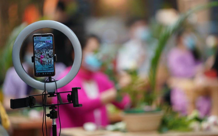 ▲某直播插花课程吸引网友在线参与。资料图。摄影/新京报记者 陶冉