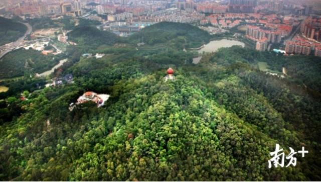 东莞房价猛涨？官方回应：稳控地价房价，加大供应严打炒房