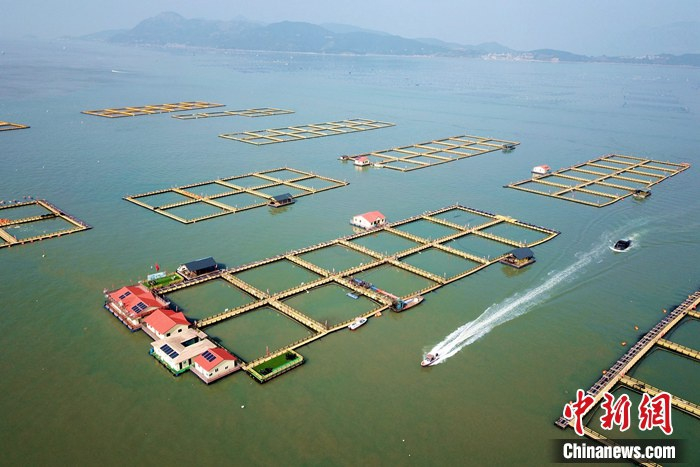 图为新型塑胶渔排连成片。王东明 摄