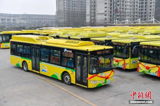 资料图：新能源纯电动公交车。中新社记者 骆云飞 摄