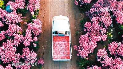 《航拍中国》第三季《安徽》一集中的镜头