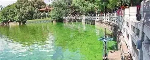 池塘躲过变“绿”却没能躲过变“黄”、生“锈”，还在纠结你的池塘水质是优质还是劣质吗？
