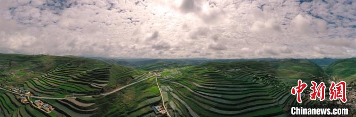 图为俯瞰卓尼县梯田美景。　韦德占 摄
