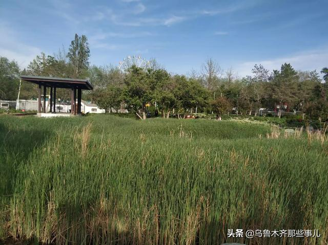 乌鲁木齐最大十个公园（广场）在这里，都在800亩以上