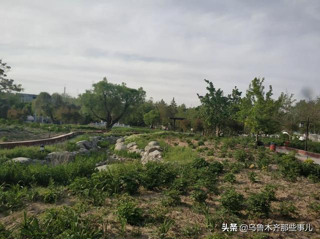 乌鲁木齐最大十个公园（广场）在这里，都在800亩以上