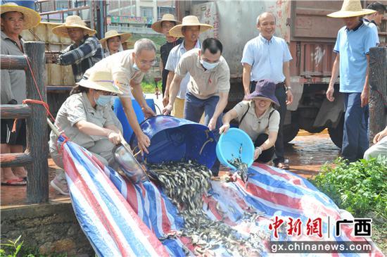 中国大唐山秀水电厂在左江开展渔业资源增殖放流