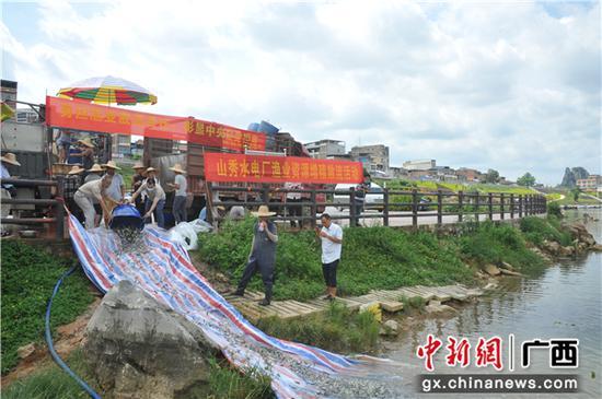 中国大唐山秀水电厂在左江开展渔业资源增殖放流