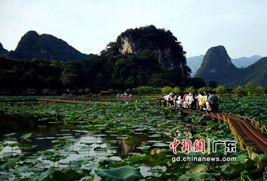 多措并举促振兴 广东英德16487户贫困户全部脱贫