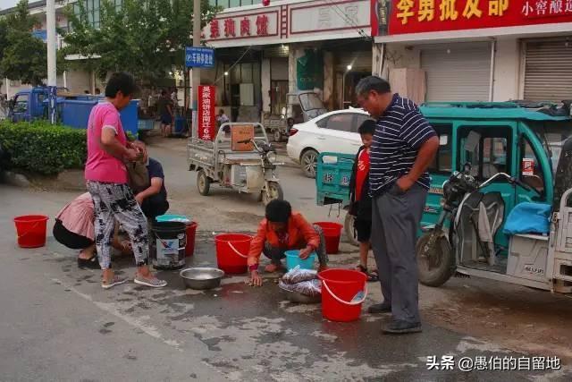 丰县宋楼镇知了猴早市现场：买卖旺季，商贩和乡亲父老云集而来