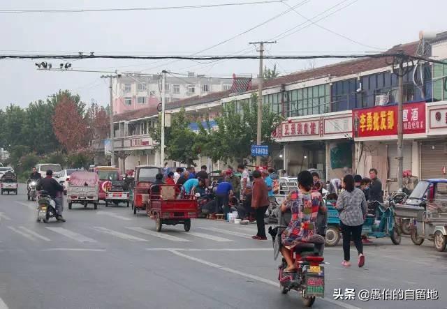 丰县宋楼镇知了猴早市现场：买卖旺季，商贩和乡亲父老云集而来