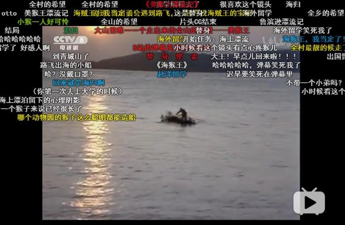 《西游记》弹幕。来源：视频截图。