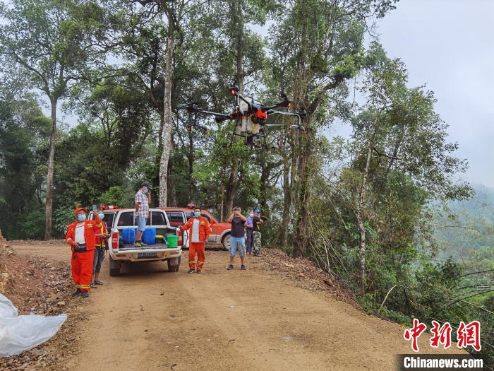 图为林草部门阻截防控黄脊竹蝗。云南省林草局供图